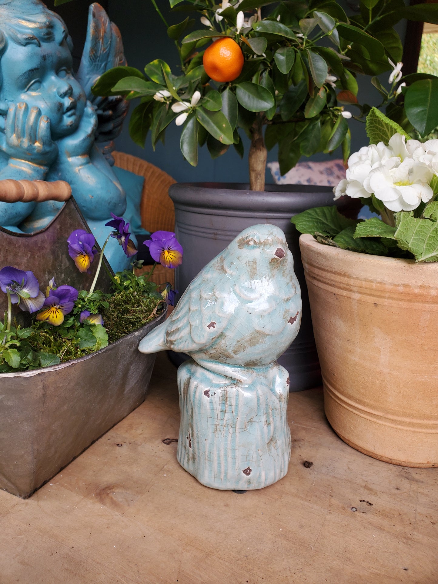 BLUE BIRD