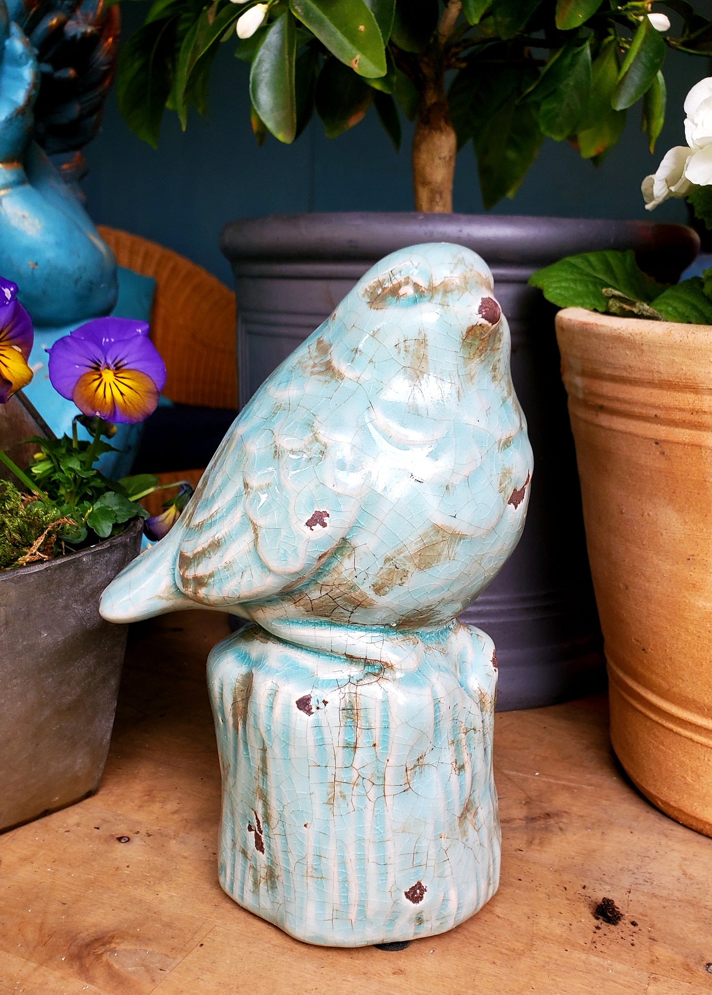 BLUE BIRD