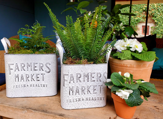 FARMERS MARKET PLANTER PAIR