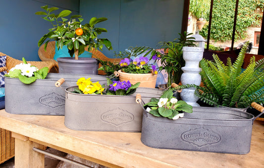 CHALKY TROUGH PLANTERS